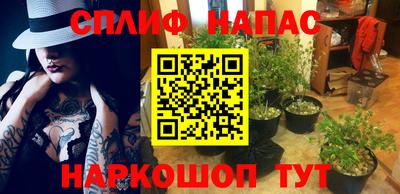 PSILOCYBIN Бузулук