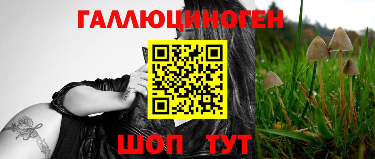 Псилоцибиновые грибы мухоморы  наркота  Орёл  Вход с VPN 
